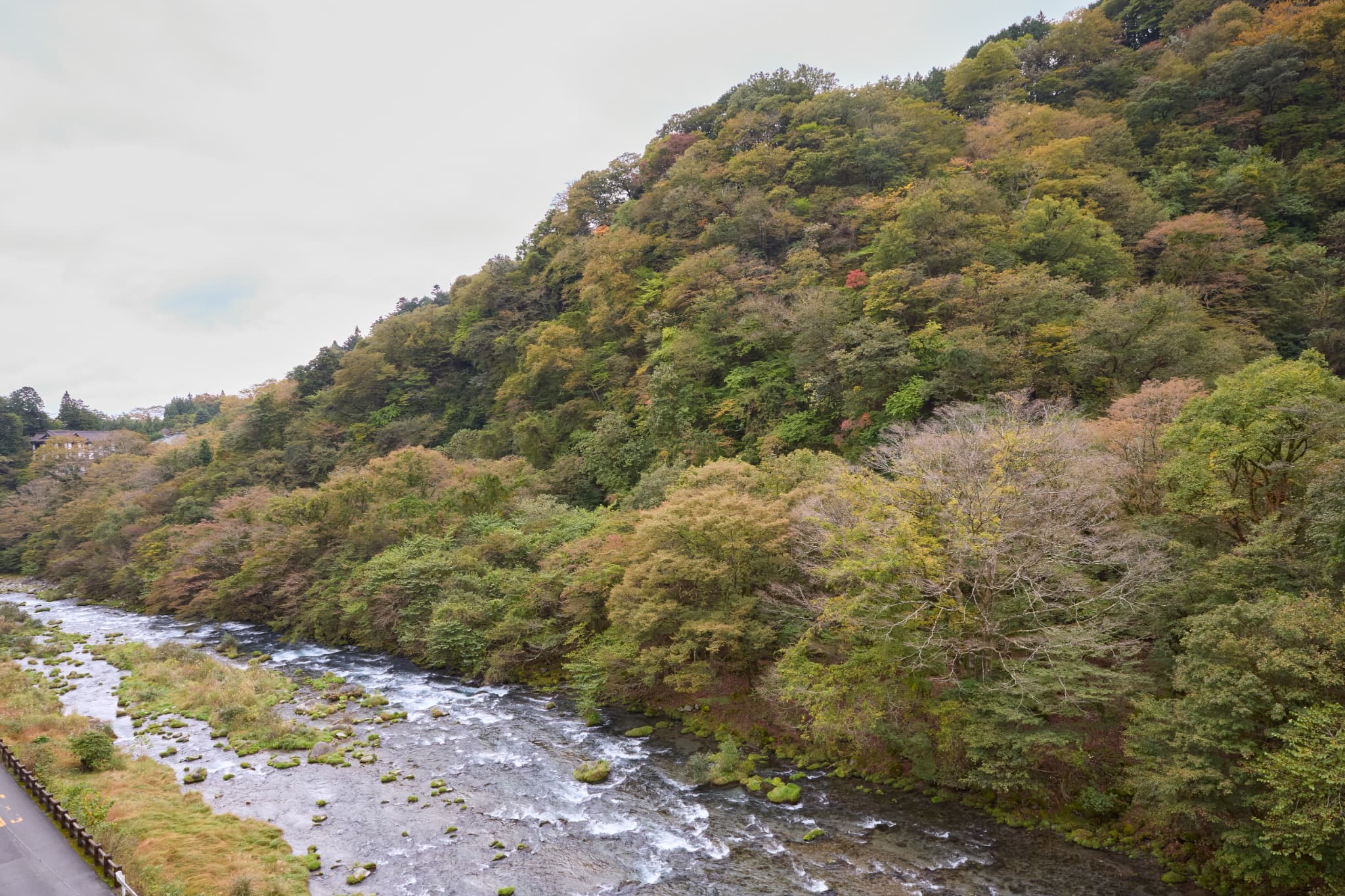 日光いろはから見える山と川の景色