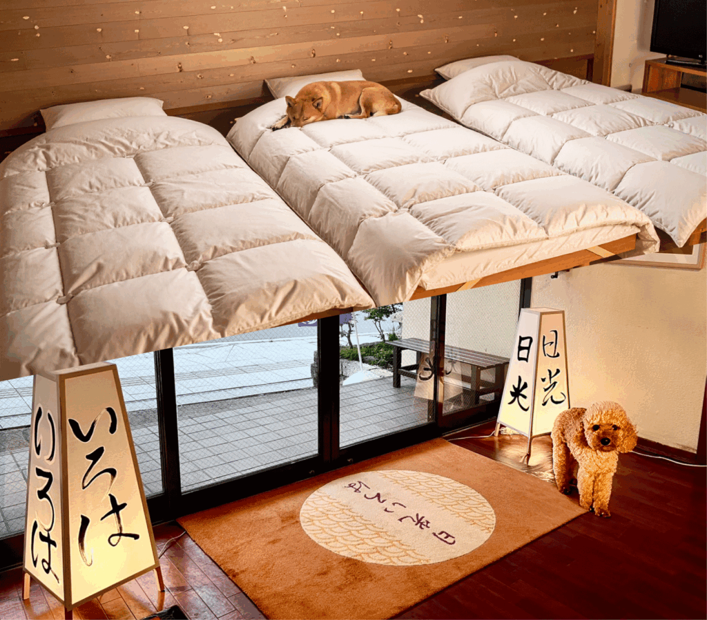 小型犬から大型犬と一緒に泊まれるお部屋