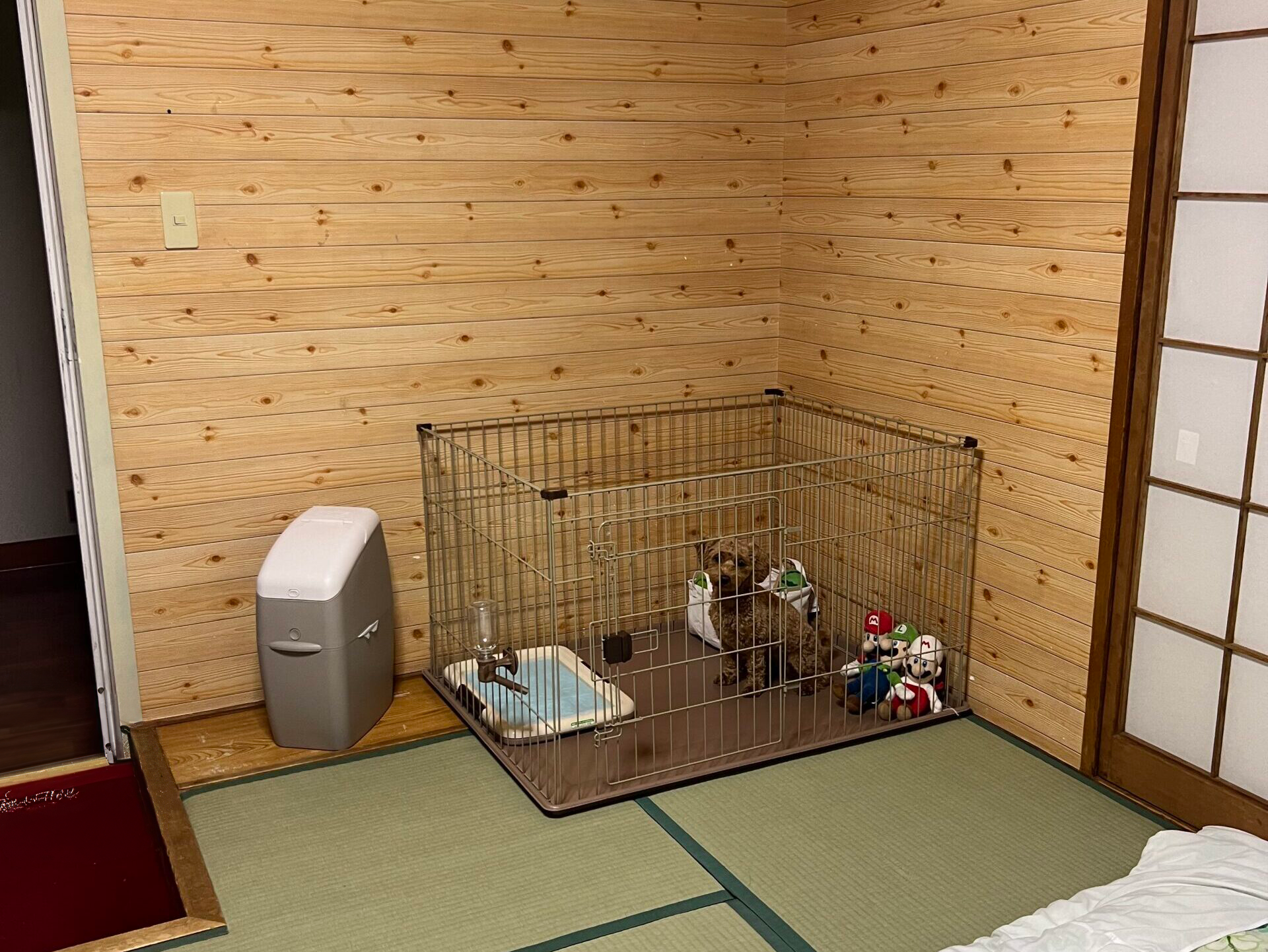 わんちゃんと宿泊できるお部屋